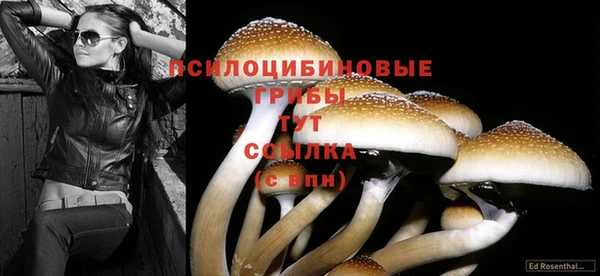 Альфа ПВП Балахна