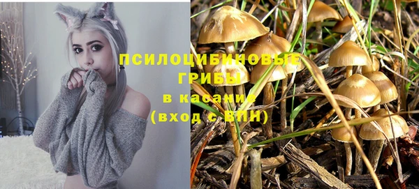 прущие крисы Баксан