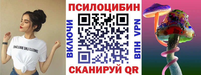 Псилоцибиновые грибы мухоморы  мега ТОР  darknet наркотические препараты  Куровское 