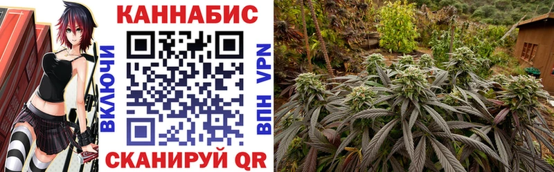Бошки Шишки Ganja купить сайты Куровское